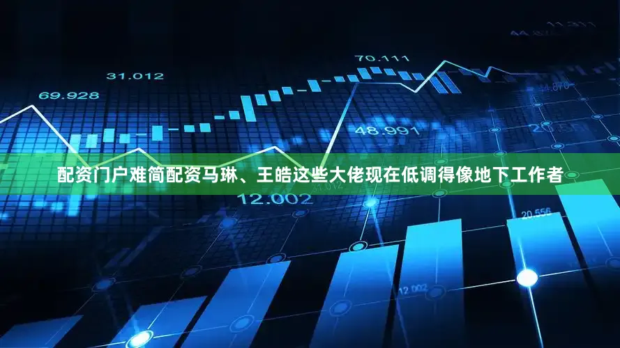 配资门户难简配资马琳、王皓这些大佬现在低调得像地下工作者